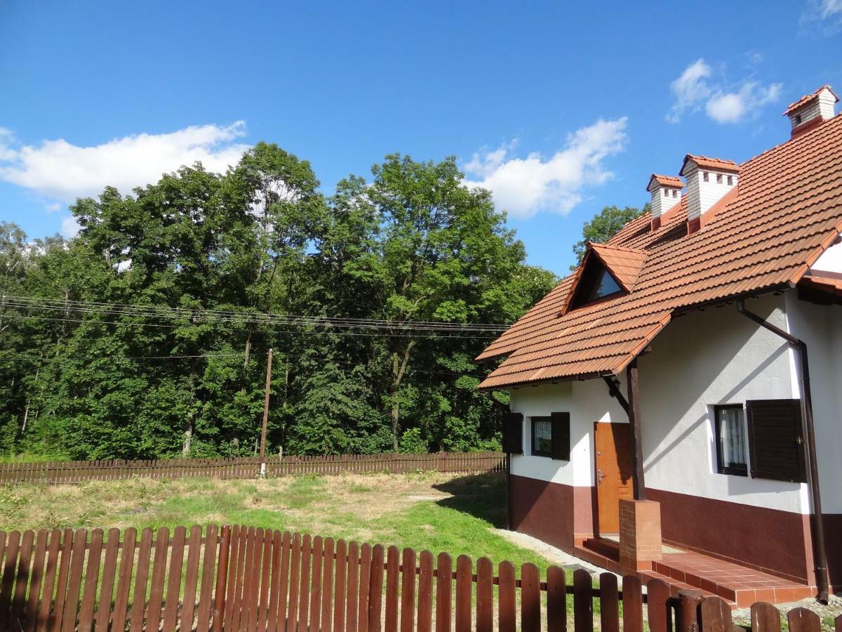 Dom U Janiny Villa Sulkowice  Exterior photo